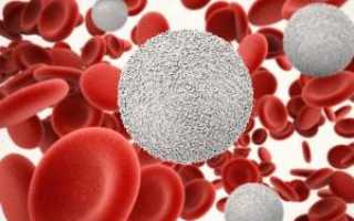 Обозначение лимфоцитов в общем анализе крови